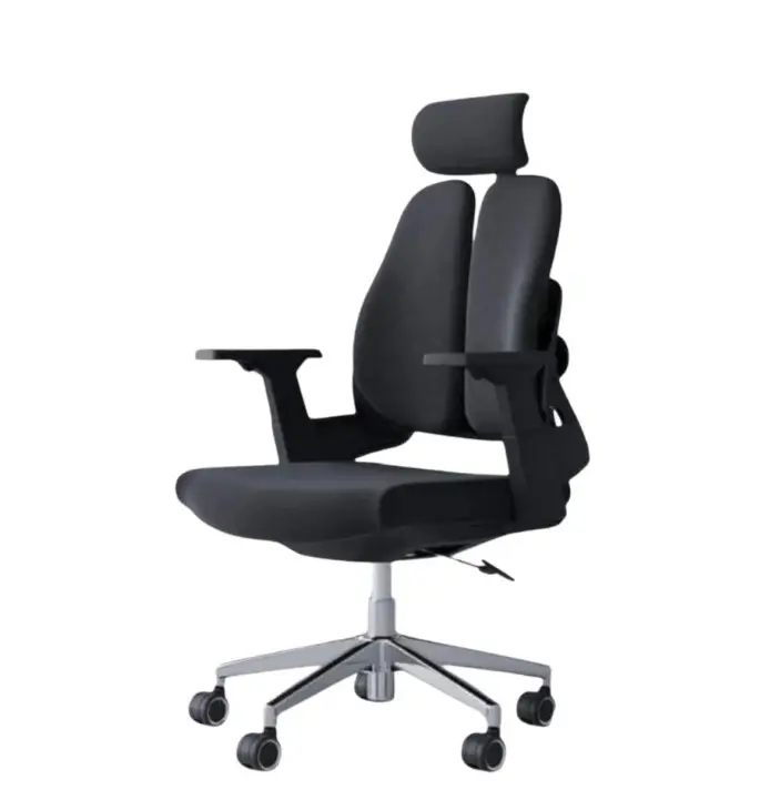 Ergonomic Chair 01